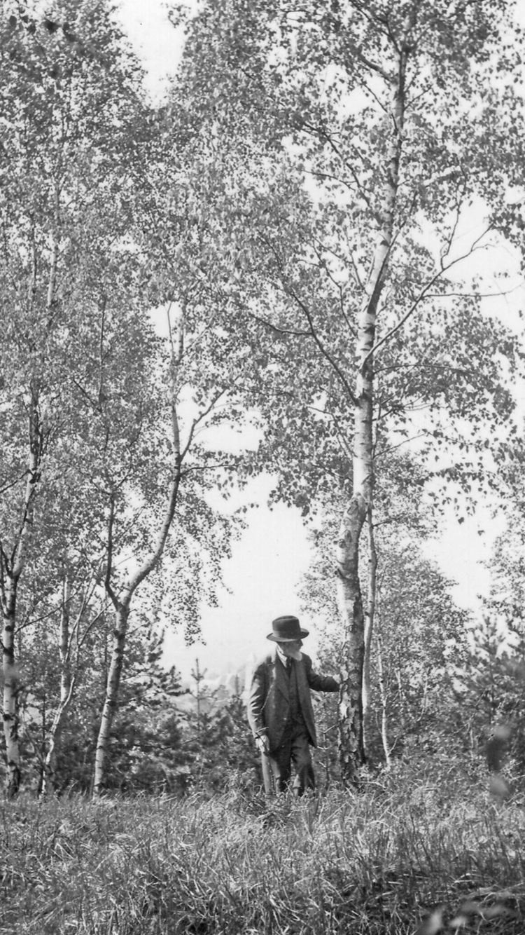 Paul Bocquet Portrait en foret Paul Bocquet Portrait en foret