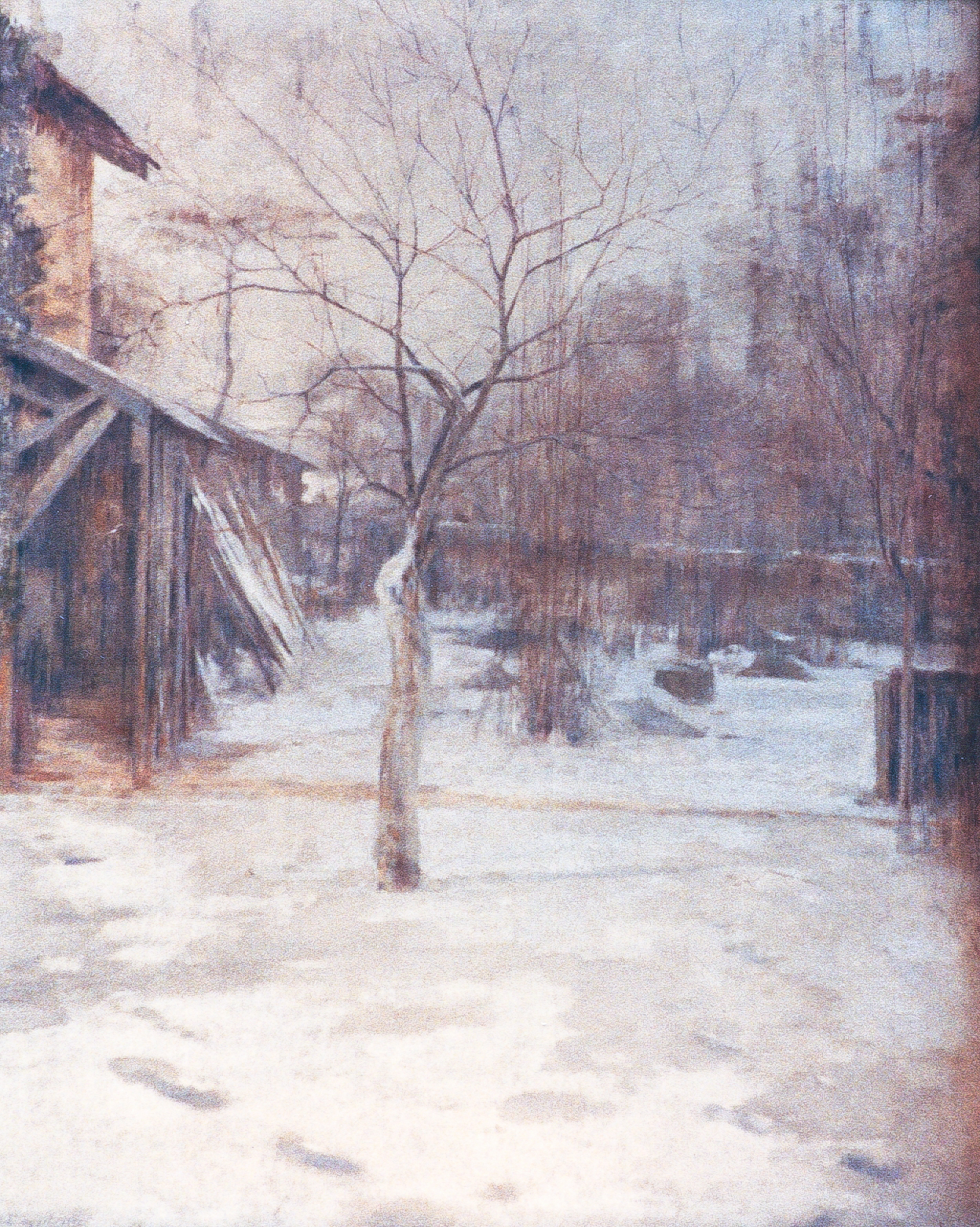 Vieux pommier effet de neige (à Togny-aux-Boeufs), 1893 (Huile sur toile, 100 x 81 cm) Vieux pommier effet de neige (à Togny-aux-Boeufs), 1893 (Huile sur toile, 100 x 81 cm)