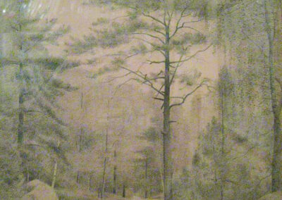 Fontainebleau (Croquis au fusain)