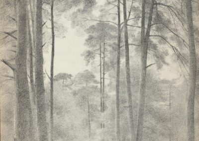 La Forêt de Fontainebleau, 1919 (Croquis au crayon, 28,7 x 22,5 cm)